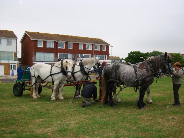 150th Anniversary